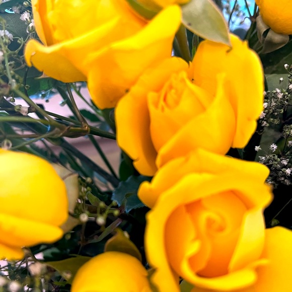 Meet your Posher, Mary lou - Picture 1 of 1